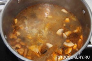 Суп Солянка с грибами и капустой
